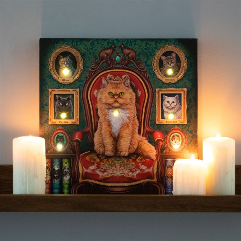 Mad About Cats Light Up Canvas By Lisa Parker